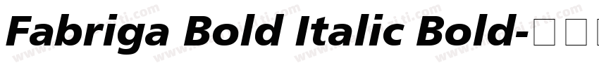 Fabriga Bold Italic Bold字体转换